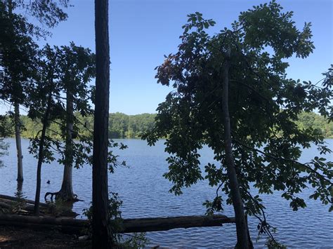 Review Of Falls Lake Dam Recreation Area Wake Forest North Carolina