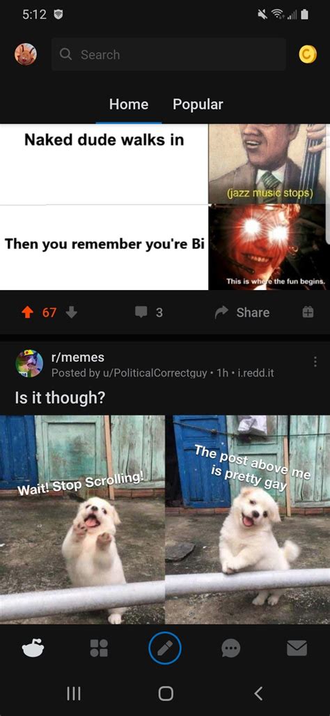 I Dont Know Man Seems Kinda Gay To Me R Memes