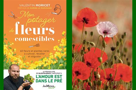 Fleurs Comestibles Apprenez Les Cultiver Et Les Cuisiner