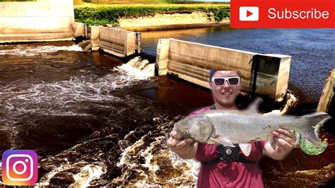 Spillway Fishing For Giant Fish YouTube