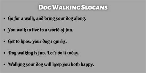 400+ Best Dog Walking Slogans That You Will Like