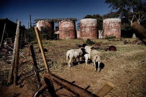 Zimbabwe Signs Us 3 5 Bn Compensation Deal With White Farmers