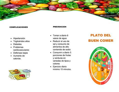 Triptico Del Plato Del Bien Comer El Plato Del Bien Comer Lic En Hot