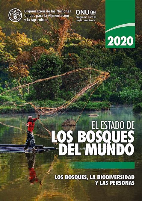 Amazon El Estado De Los Bosques Del Mundo Los Bosques La