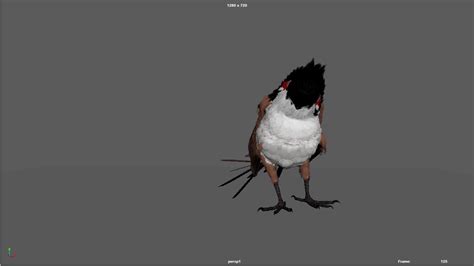 Bird Flight Animation Youtube