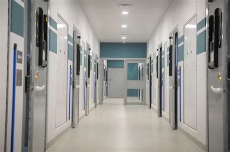 Thieves With Daft Excuses And The Sex Offender Who Wore A Wig All The Criminals Jailed In July