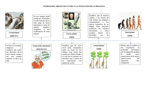 Biologia Para Bachillerato Teoria Del Origen De La Vida Creacionismo