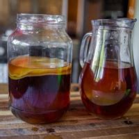 Уход за чайным грибом в домашних условиях для начинающих