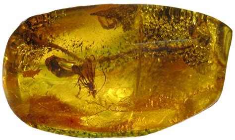 Amber