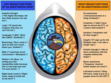 Left Brain Vs Right Brain Dominance The Surprising Truth