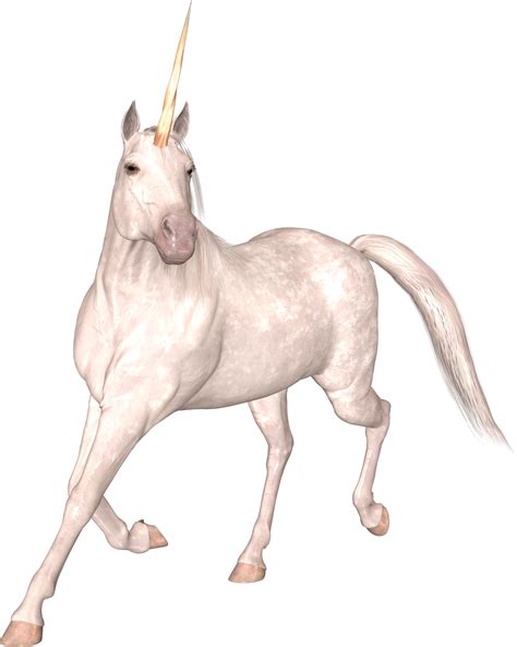Unicorn PNG