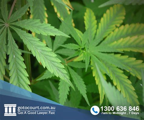 Sex Offenders Register In Victoria Go To Court Lawyers