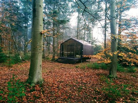 Een Huisje Midden In Het Bos Flow Magazine Uitjes In Het Bos