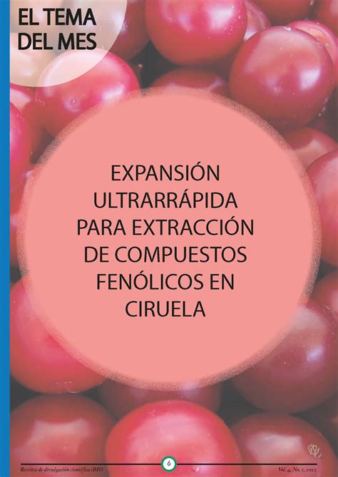 Expansión ultrarrápida para la extracción de compuestos fenólicos en