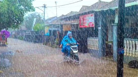 Super Heavy Rain And Strong Lightning In My Village Wind Sleep