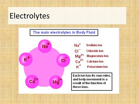 Ppt Electrolytes Powerpoint Presentation Free Download Id2706781