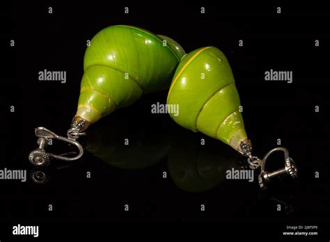 Manus Green Tree Snail Hi Res Stock Photography And Images Alamy