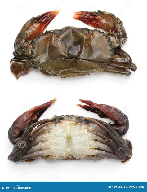 soft shell crab recipes 5