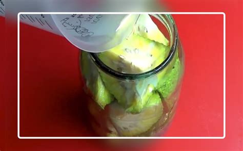 Маклюра (адамово яблоко) настойка: применение, отзывы, рецепты ...