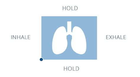 Sama Vritti Pranayama Box Breathing Heal Yourself Yoga