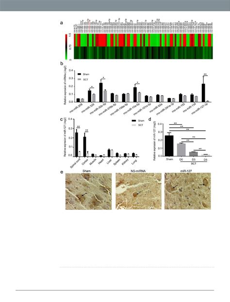 Open Access MicroRNA 127 Targeting Of MitoNEET Inhibits Neurite