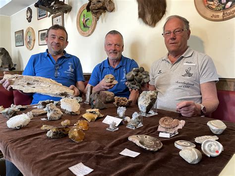 Mineralien- und Fossilienbörse am 4. Juni: Eine faszinierende Reise in