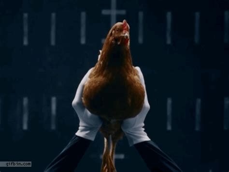 Gyroscopic Chicken Head Best Funny S Updated Daily