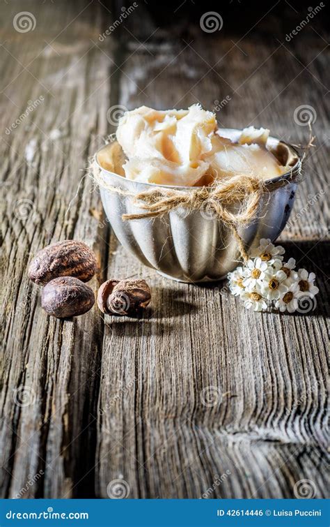 Shea Butter And Nuts Stock Photo Image Of Natural Skin 42614446