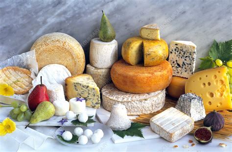 View Of An Assortment Of Cheeses Stock Image H110 1271 Science Photo Library