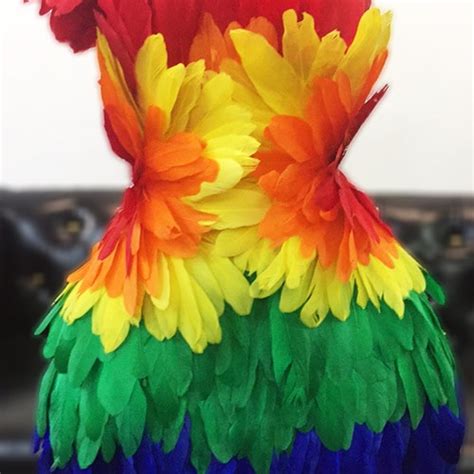 Da Neena C Multicolor Girl Crystal Gay Pride Parade Pageant Etsy