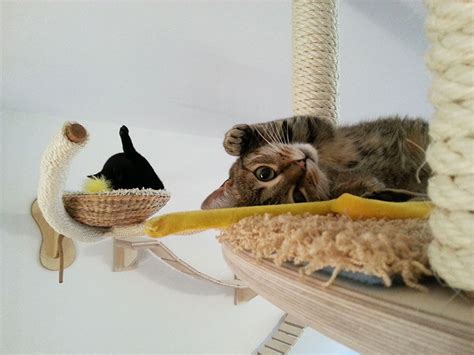 Rooms Turned Into Cat Playgrounds By Goldtatze