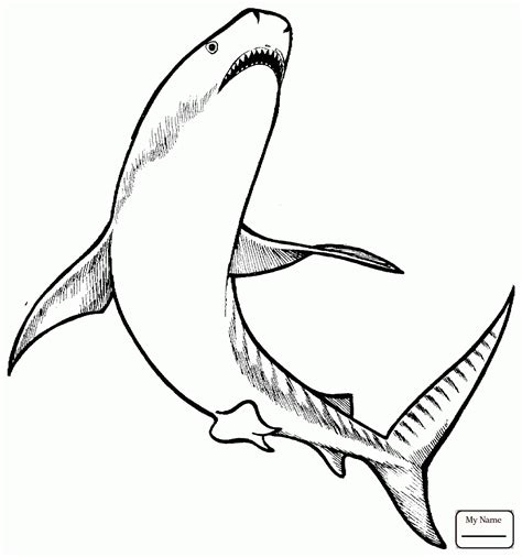 Shark Outline Drawing at GetDrawings | Free download