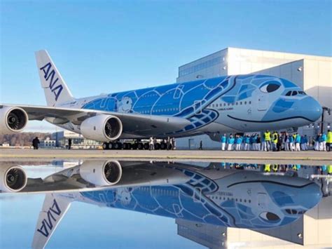 ANA unveils A380 with flying turtle livery | The West Australian