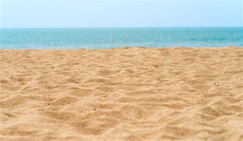 Beach Sand - Hammond Farms Landscape Supply
