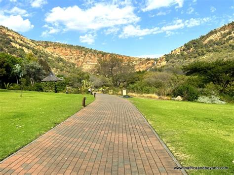 Things To Do At Walter Sisulu Botanical Garden