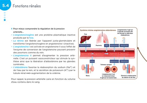 Dipl Me Infirmier Ifsi Cartes Mentales Ue Cycles De La Vie