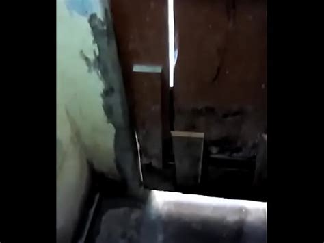 VID 20151002 WA0000 XVIDEOS