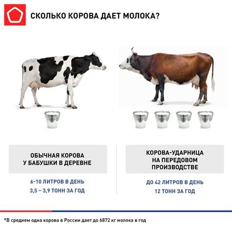 Из чего делают молоко в России — объемы производства молока в России ...