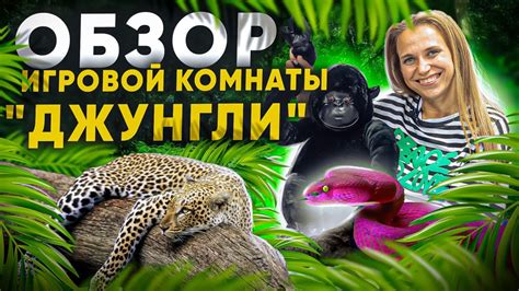 ОБЗОР детской игровой комнаты Джунгли. Франшиза детской игровой комнаты ...