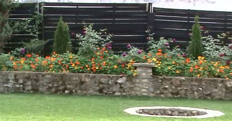 ANTIPRESA Totul Despre Sex