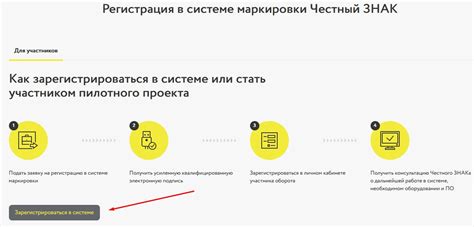 Маркировка товара Честный ЗНАК: что это и инструкция по работе в личном ...