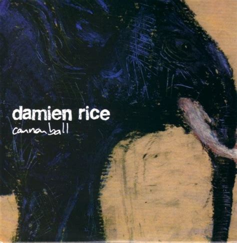 33 best Damien Rice ... album covers images on Pinterest