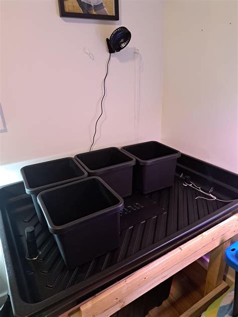 Launching my DIY ebb&flow station shortly. bought 50L of clay pebbles