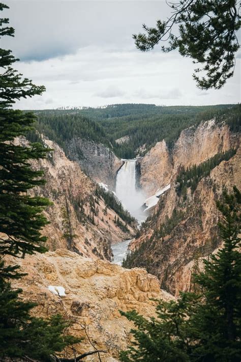 10 Best Yellowstone Tours From West Yellowstone In 2024