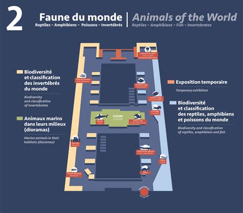 Faune Du Monde Ville De Gen Ve Sites Des Institutions