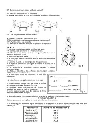 Trabalho Pr Tico S Ntese Proteica Pdf