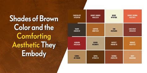 shades  brown color   comforting aesthetic  embod