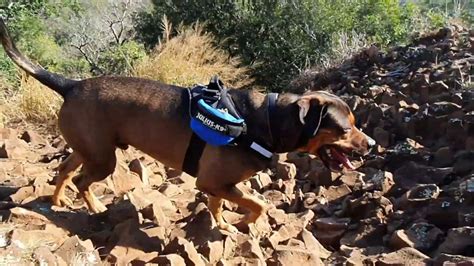 Tabletop Mountain Hike Toowoomba Youtube