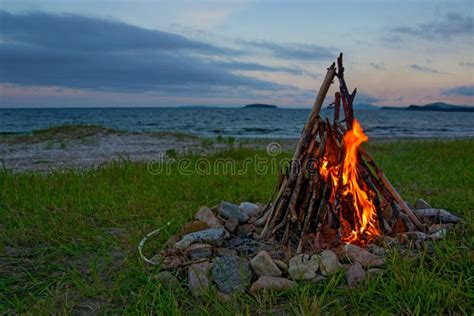 Fire Burning on the Beach at Night. Bright Fire, Firewood Stock Photo ...