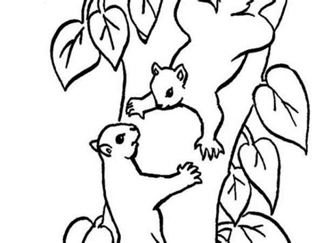 Squirrel In Tree Drawing | Free download on ClipArtMag